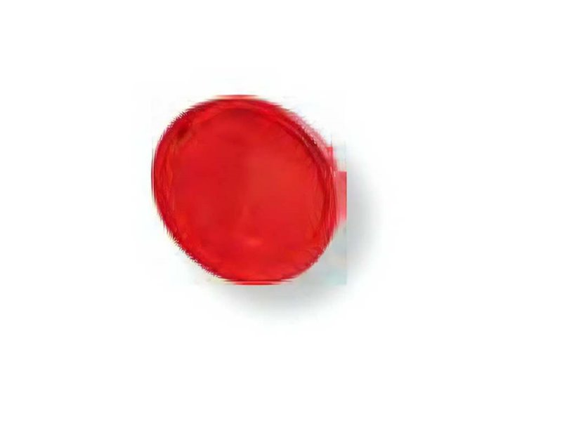 C:\Users\web\Downloads\ilretrc\501290.jpg C:\Users\web\Downloads\ilretrc\501290.jpg